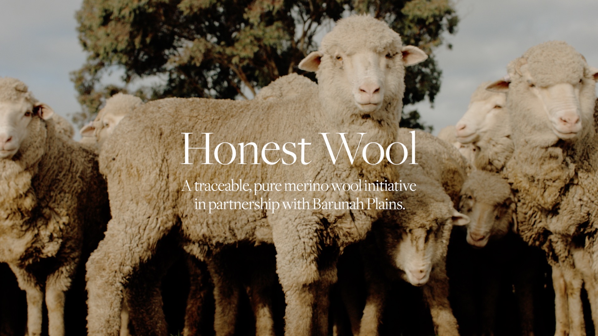 Honest Wool｜【公式】ヘレンカミンスキー オンラインストア