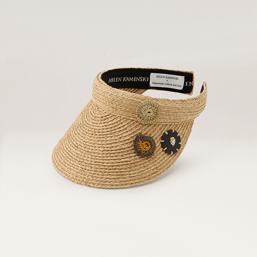 Disk Visor (ディスク バイザー)